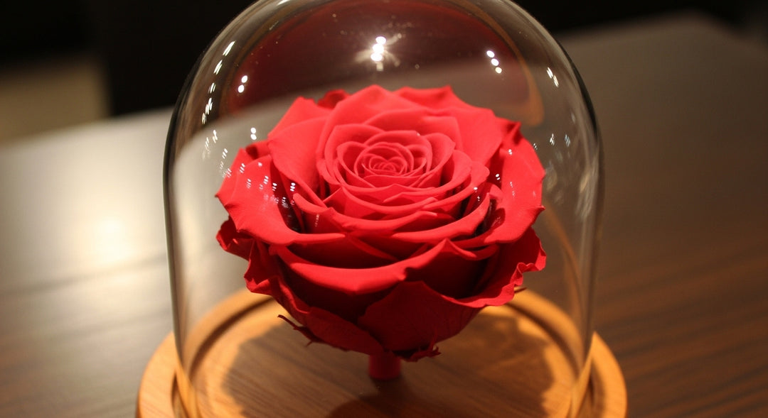 Red Forever Rose In Glass Dome