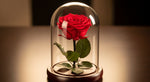 Load image into Gallery viewer, Red Forever Rose In Glass Dome
