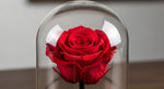 Load image into Gallery viewer, Red Forever Rose In Glass Dome
