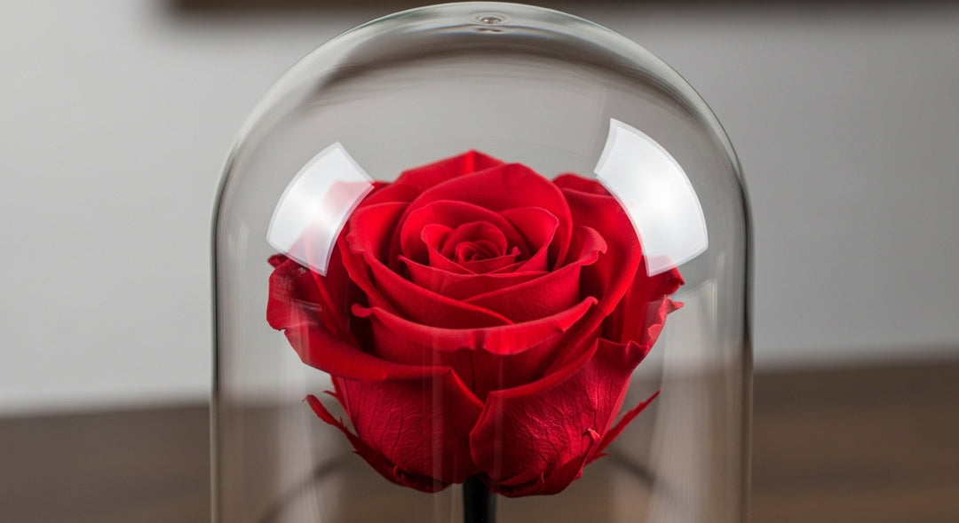 Red Forever Rose In Glass Dome