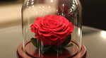Load image into Gallery viewer, Red Forever Rose In Glass Dome
