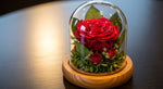 Load image into Gallery viewer, Red Forever Rose In Glass Dome
