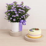 Load image into Gallery viewer, Aster Flower and Cake Combo
