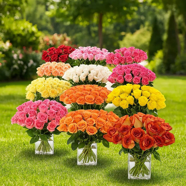 Twelve Bouquets of Roses - bestgift